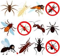 Organic Pest Control Adelaide image 2